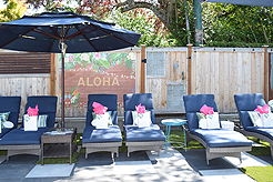 MOMENTUM - MULTI-VENDOR